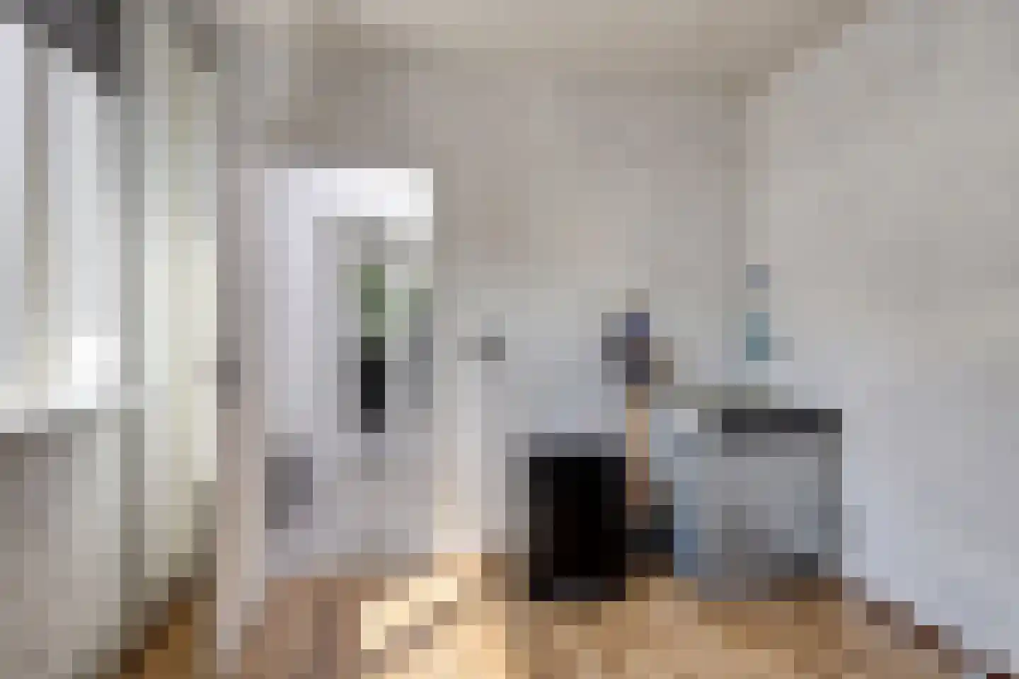 President Verpoortenstraat 6 Gemert thumbnail 25