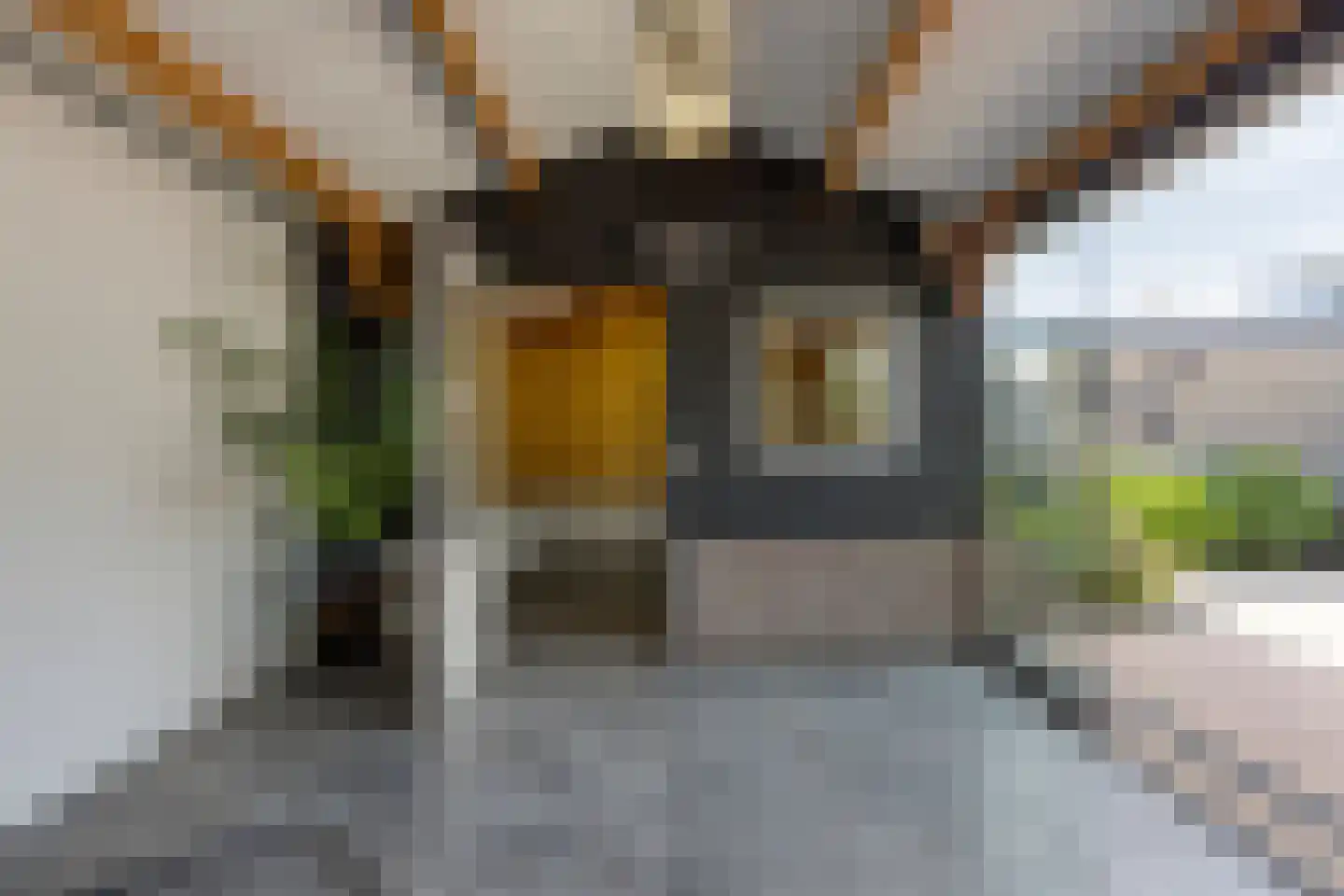 President Verpoortenstraat 6 Gemert thumbnail 45