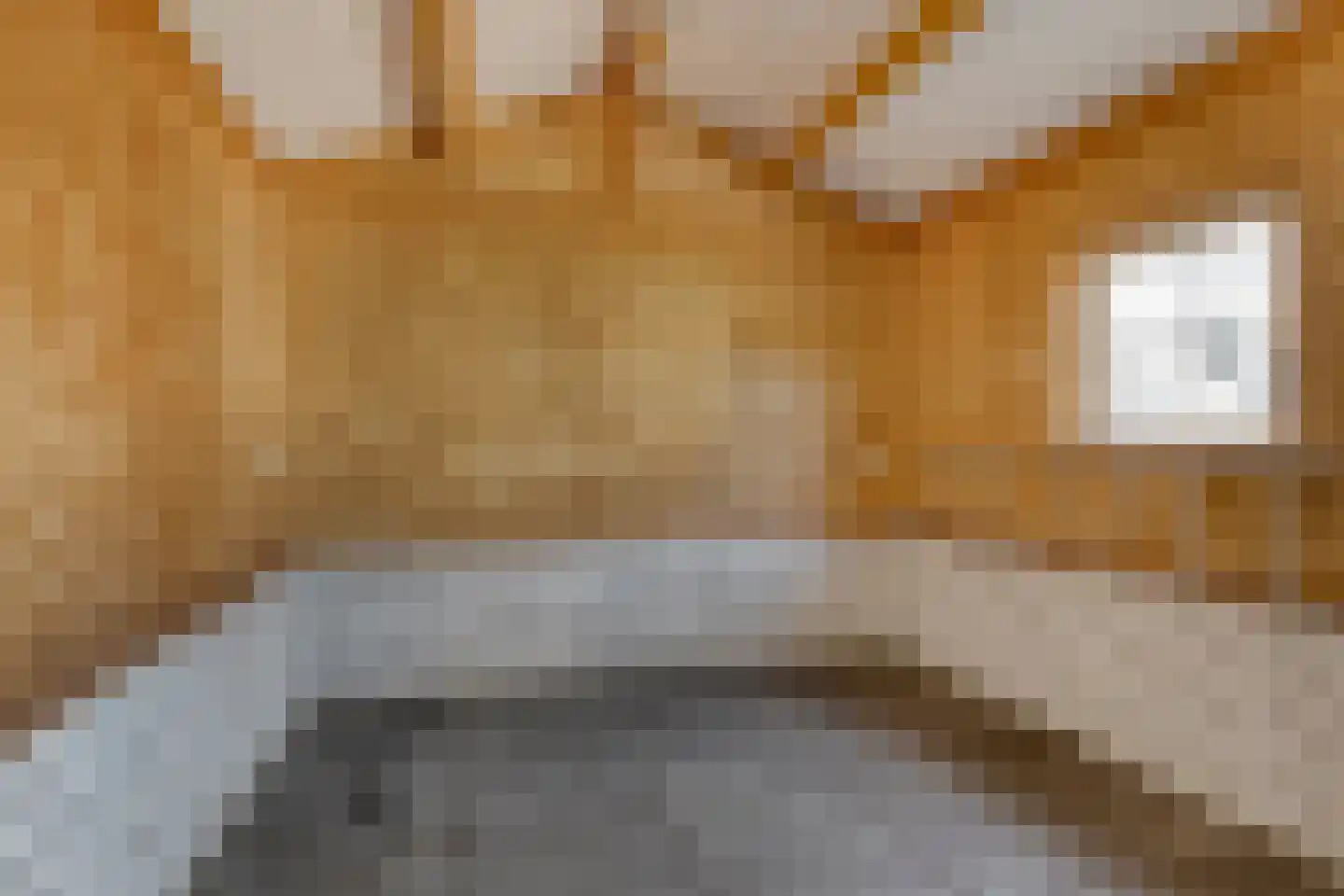 President Verpoortenstraat 6 Gemert thumbnail 47