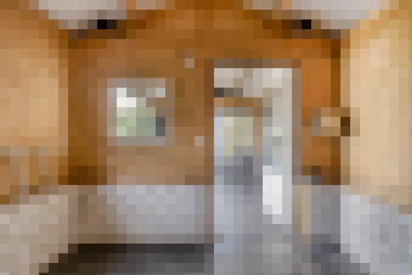 President Verpoortenstraat 6 Gemert thumbnail 48