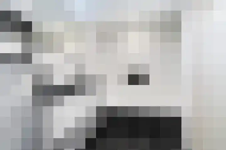 President Wilsonlaan 15 Middelburg thumbnail 21