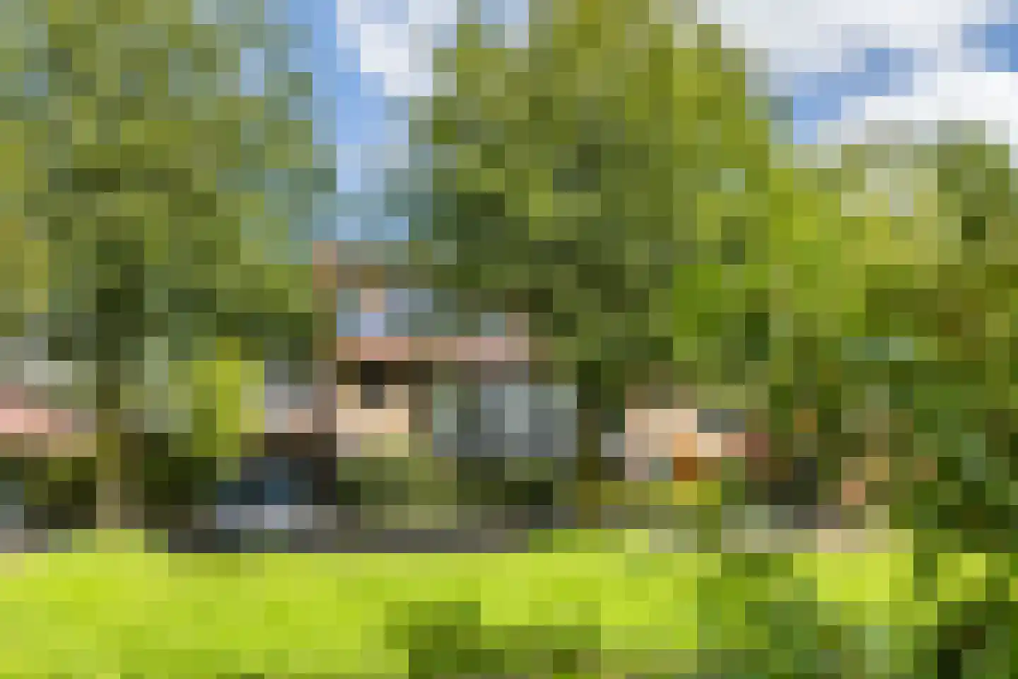 Presidentperenlaan 5 Vleuten