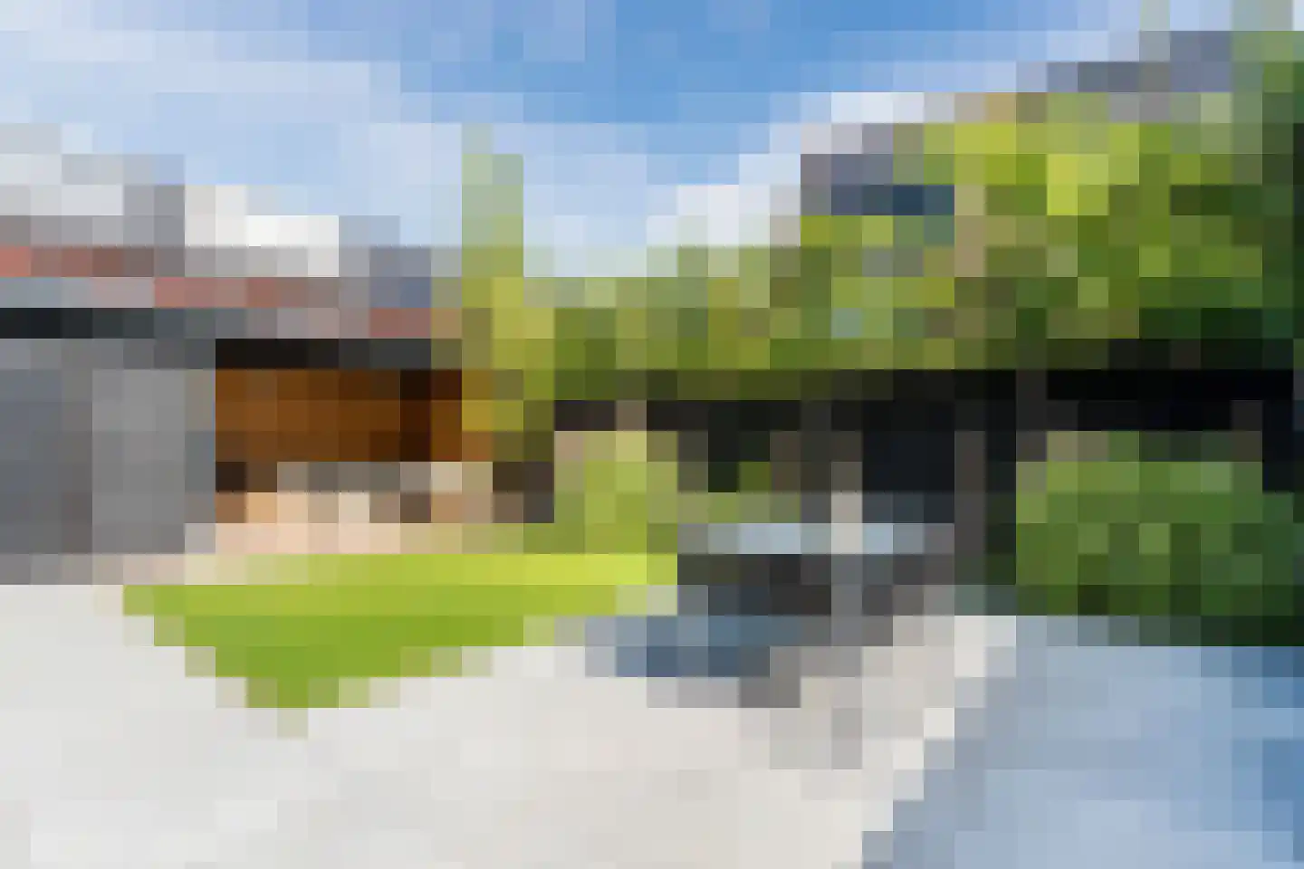 Presidentperenlaan 5 Vleuten thumbnail 12