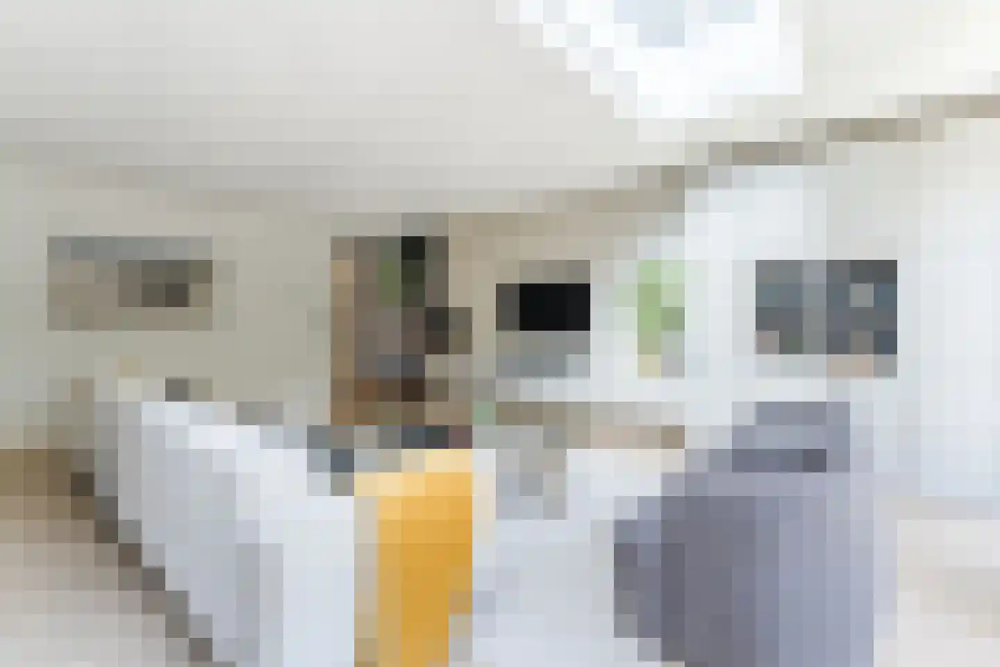 Presidentperenlaan 5 Vleuten thumbnail 24