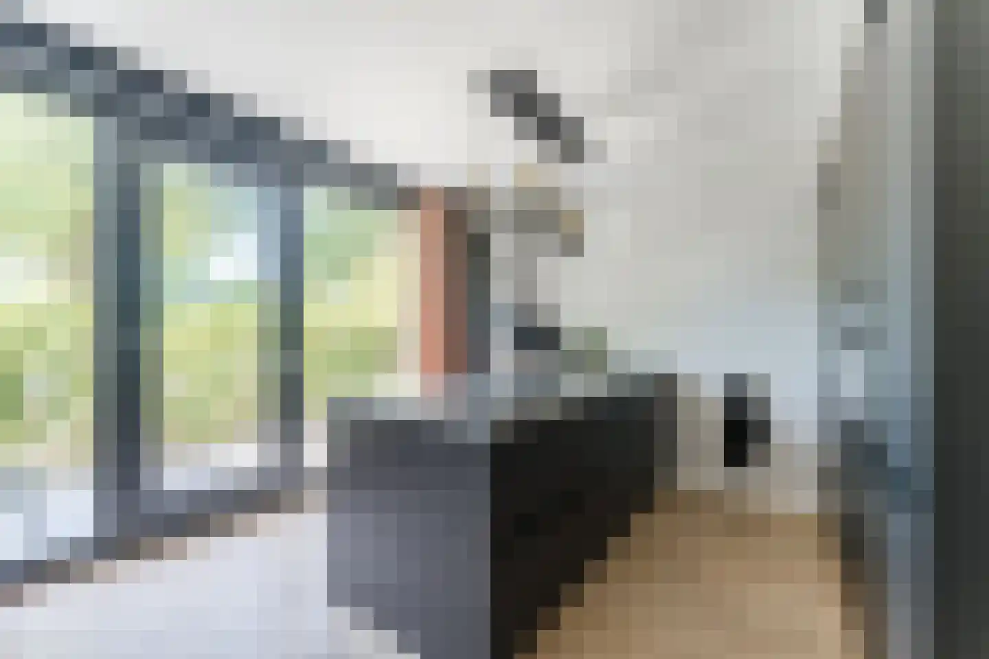 Presidentperenlaan 5 Vleuten thumbnail 30