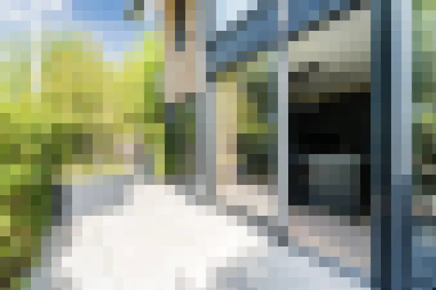 Presidentperenlaan 5 Vleuten thumbnail 37