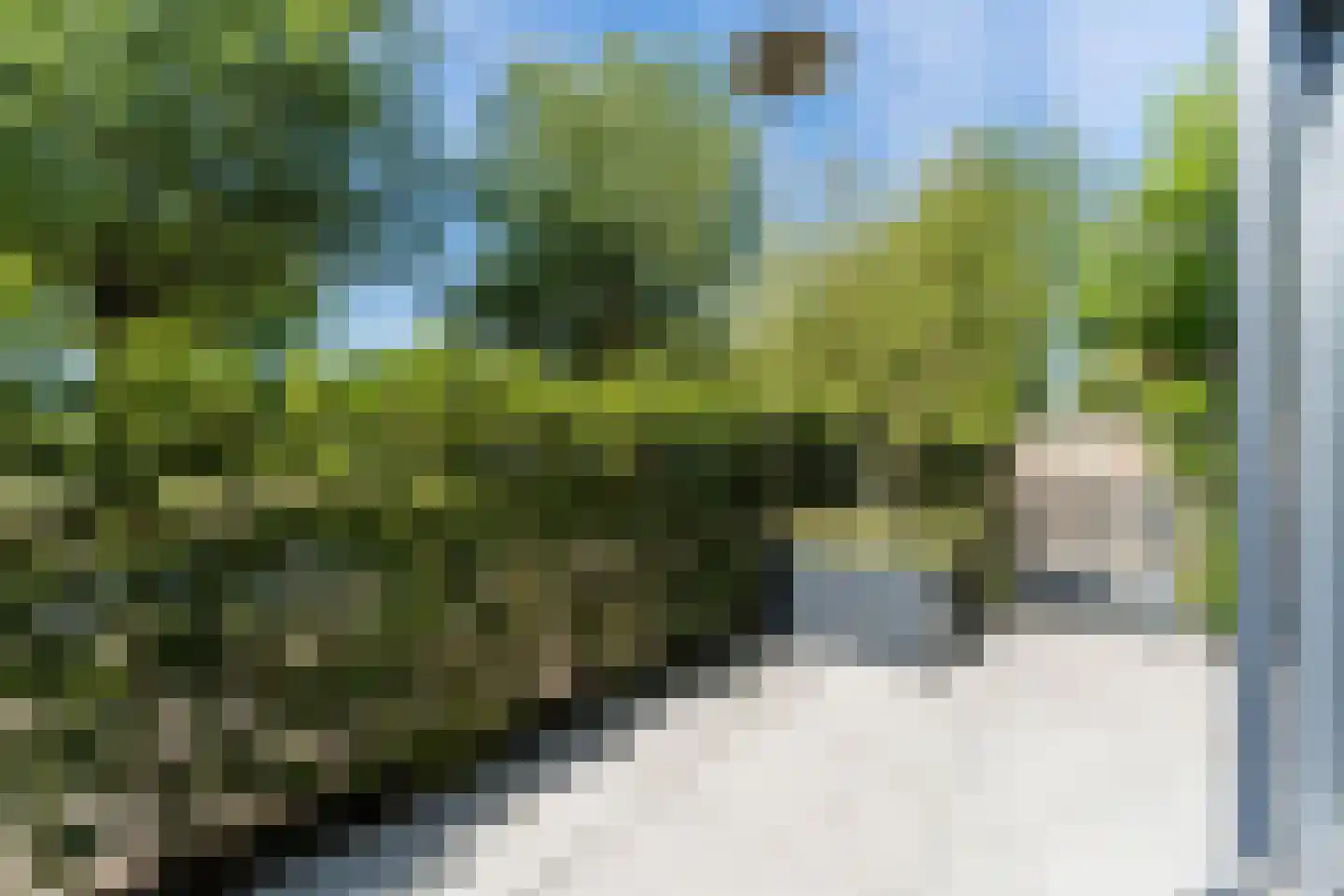 Presidentperenlaan 5 Vleuten thumbnail 38