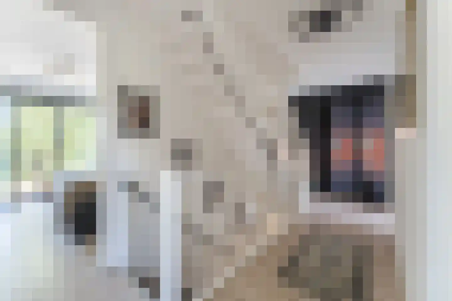 Presidentperenlaan 5 Vleuten thumbnail 43