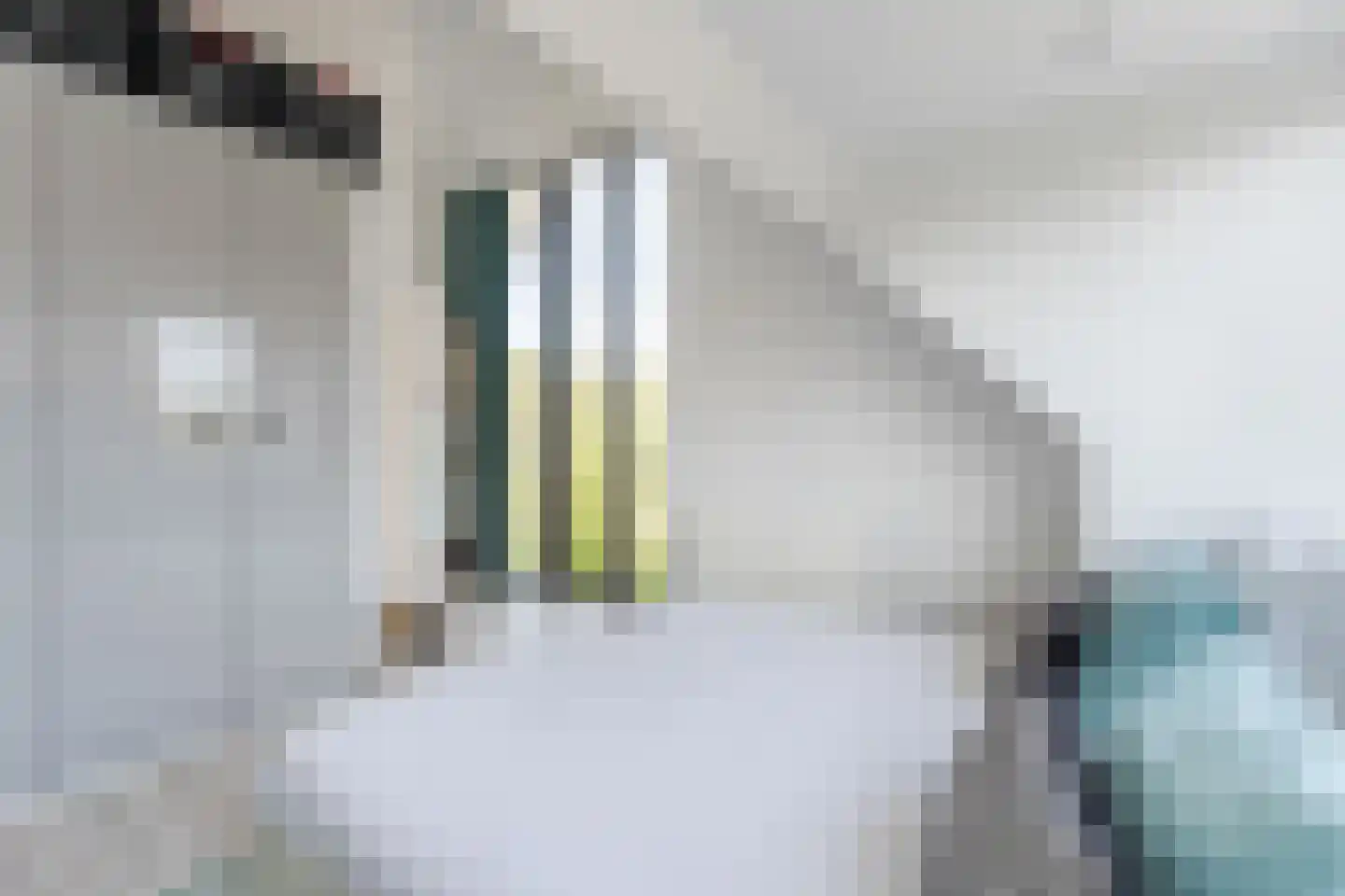 Presidentperenlaan 5 Vleuten thumbnail 69