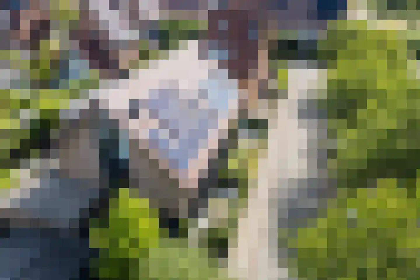 Presidentperenlaan 5 Vleuten thumbnail 79