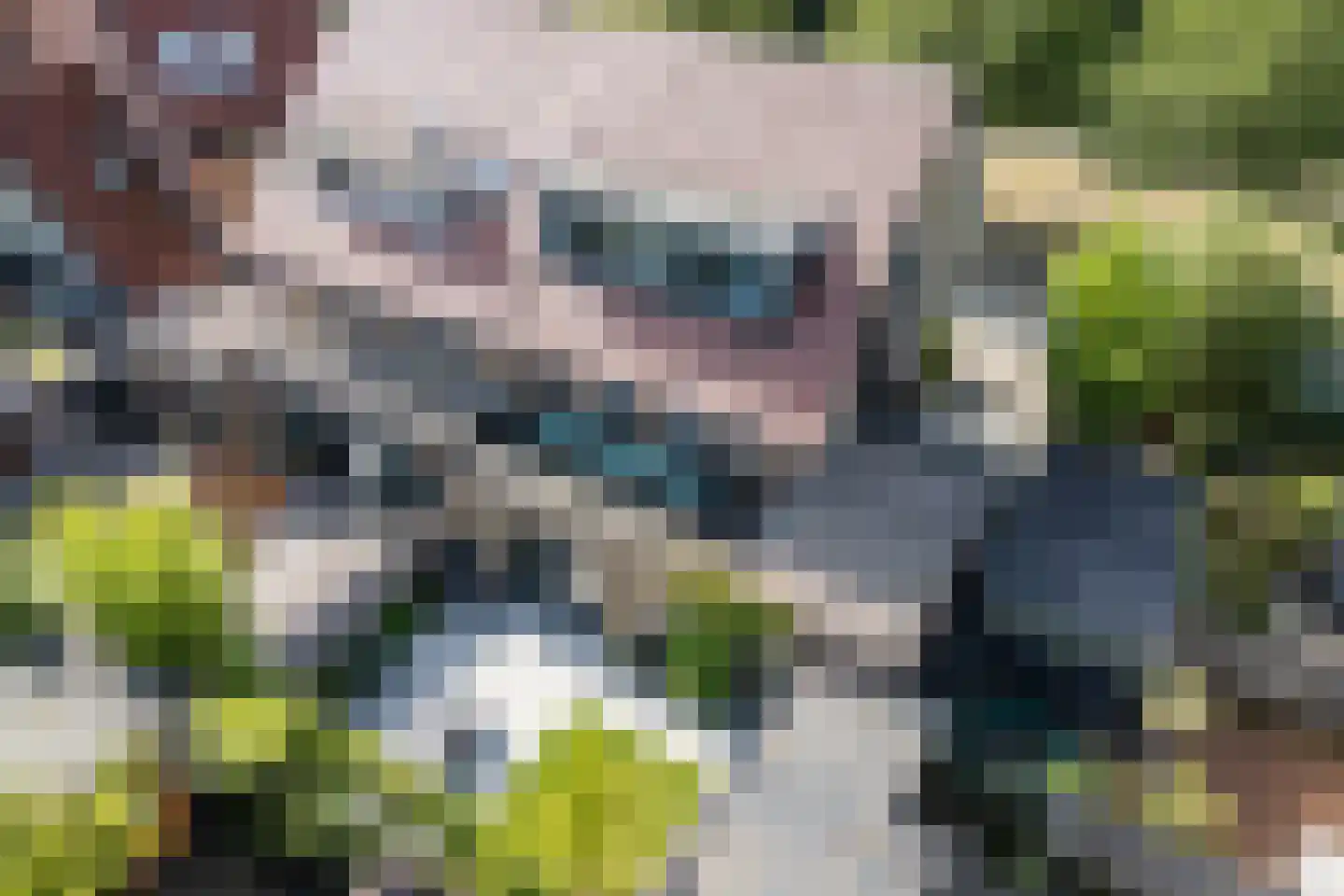 Presidentperenlaan 5 Vleuten thumbnail 81