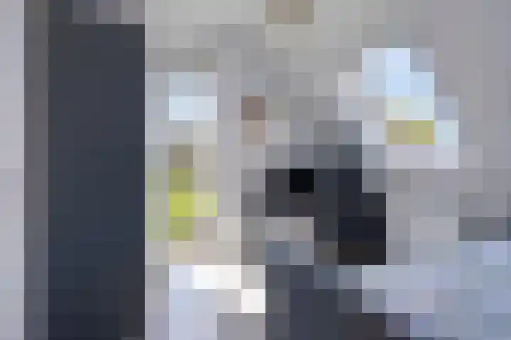 Presidentperenlaan 7 Vleuten thumbnail 21
