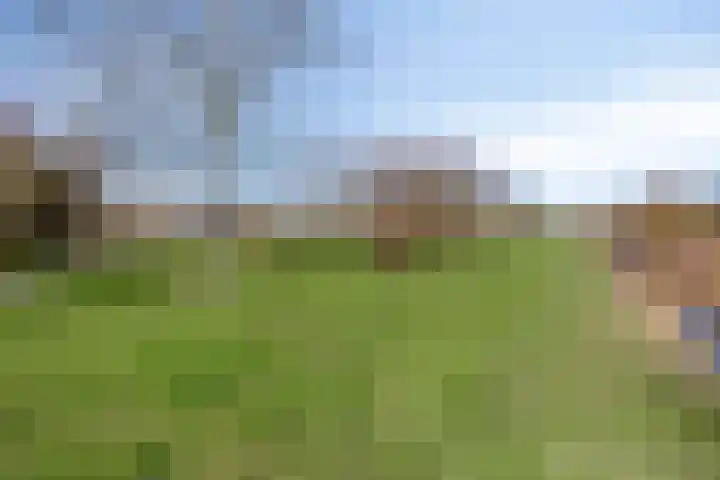 Presidentperenlaan 7 Vleuten thumbnail 33