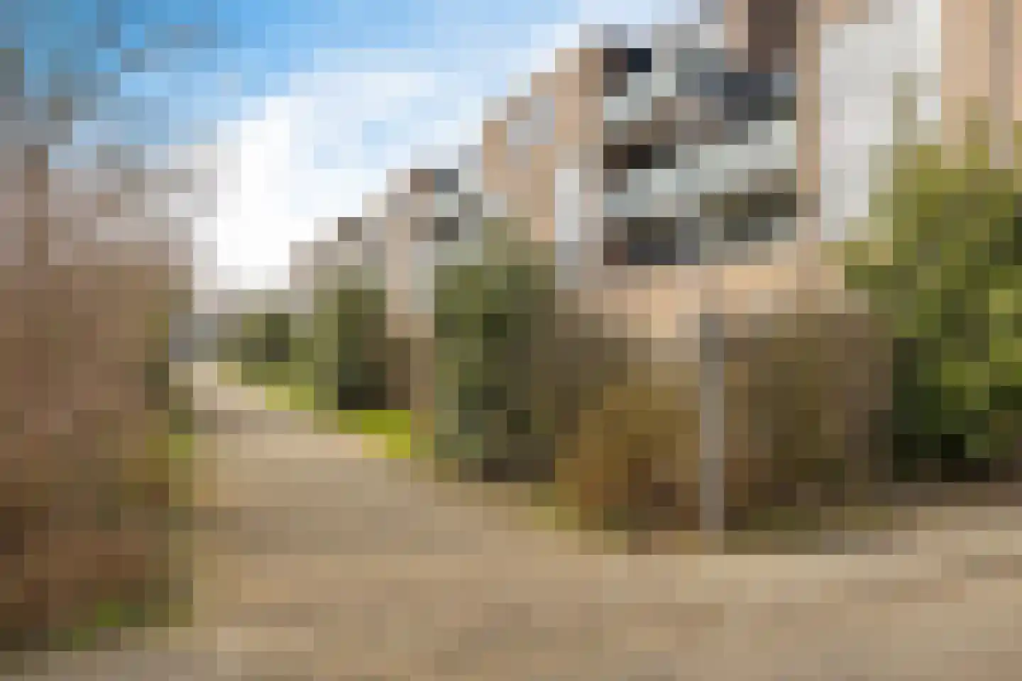 Presidentstraat 60 Almere thumbnail 4