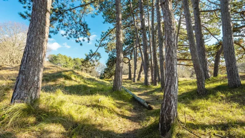 Office photo of Prestige Property