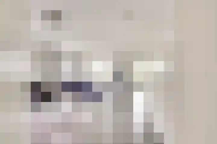 Pretoriadreef 12 Utrecht thumbnail 10