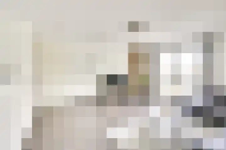 Pretoriadreef 12 Utrecht thumbnail 11