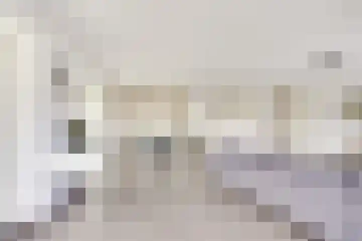 Pretoriadreef 12 Utrecht thumbnail 13