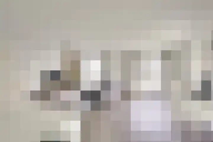 Pretoriadreef 12 Utrecht thumbnail 16