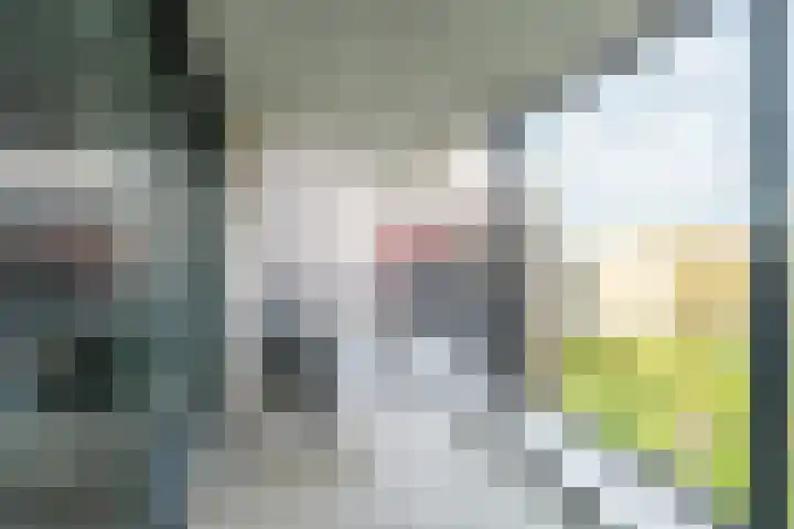 Pretoriadreef 12 Utrecht thumbnail 24