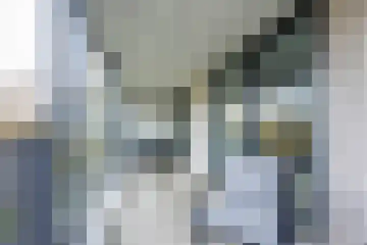 Pretoriadreef 12 Utrecht thumbnail 25