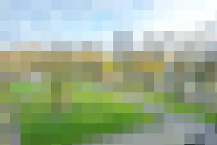 Pretoriadreef 12 Utrecht thumbnail 26