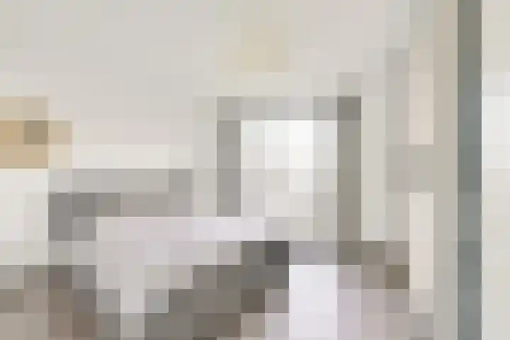 Pretoriadreef 12 Utrecht thumbnail 28