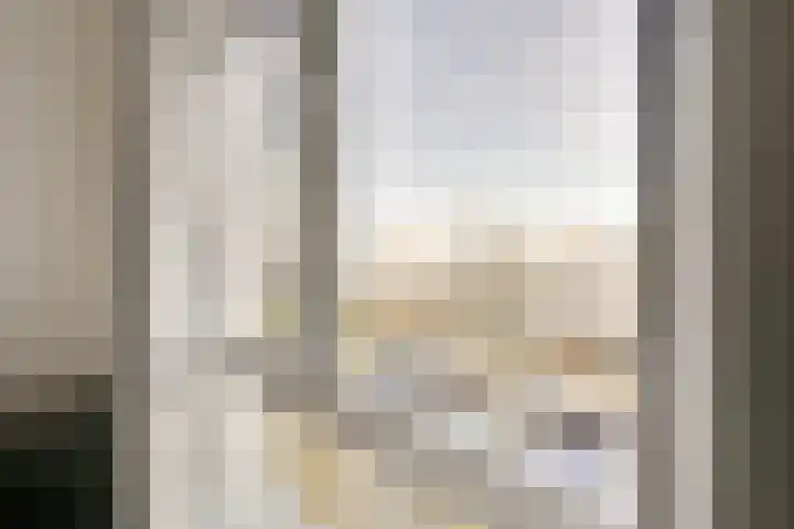Pretoriadreef 12 Utrecht thumbnail 29