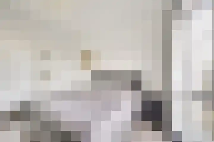 Pretoriadreef 12 Utrecht thumbnail 30