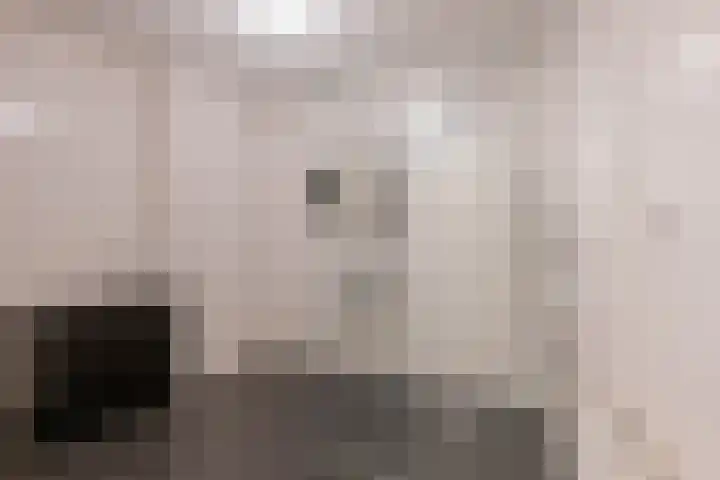 Pretoriadreef 12 Utrecht thumbnail 33