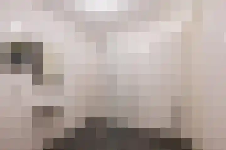 Pretoriadreef 12 Utrecht thumbnail 34