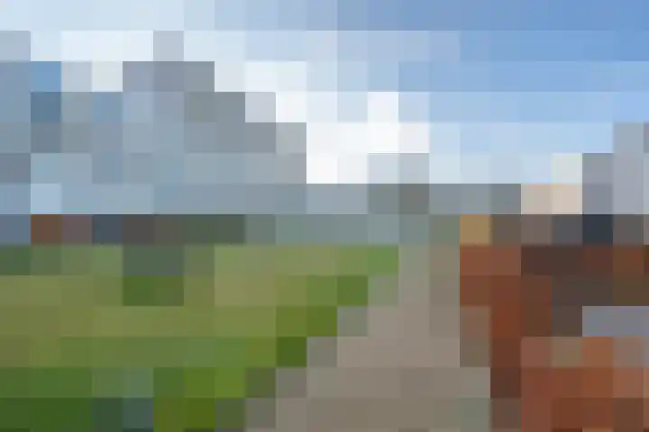 Pretoriadreef 12 Utrecht thumbnail 36