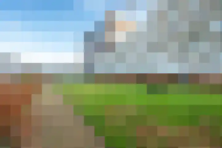 Pretoriadreef 12 Utrecht thumbnail 37