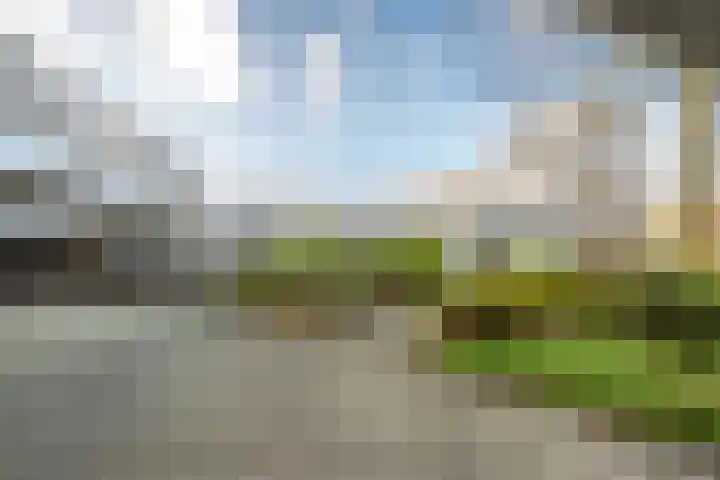 Pretoriadreef 12 Utrecht thumbnail 38