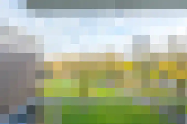 Pretoriadreef 12 Utrecht thumbnail 4