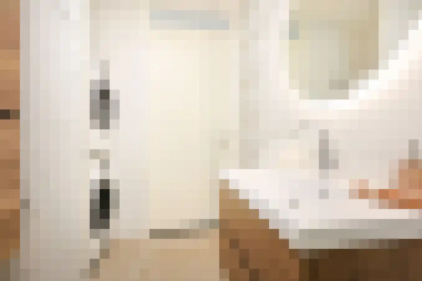 Pretoriadreef 14 Utrecht thumbnail 22