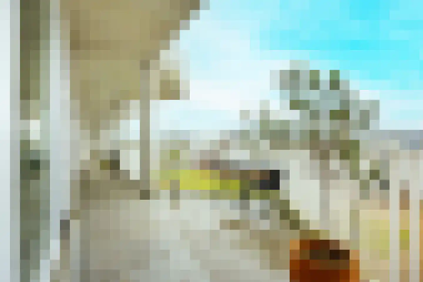 Pretoriadreef 14 Utrecht thumbnail 27