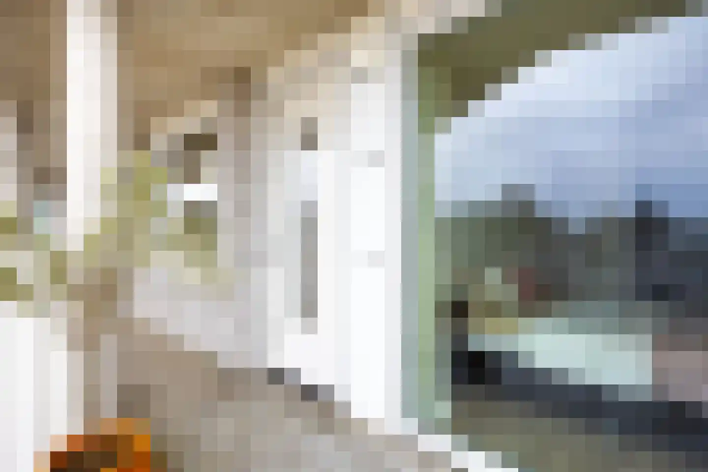 Pretoriadreef 14 Utrecht thumbnail 30