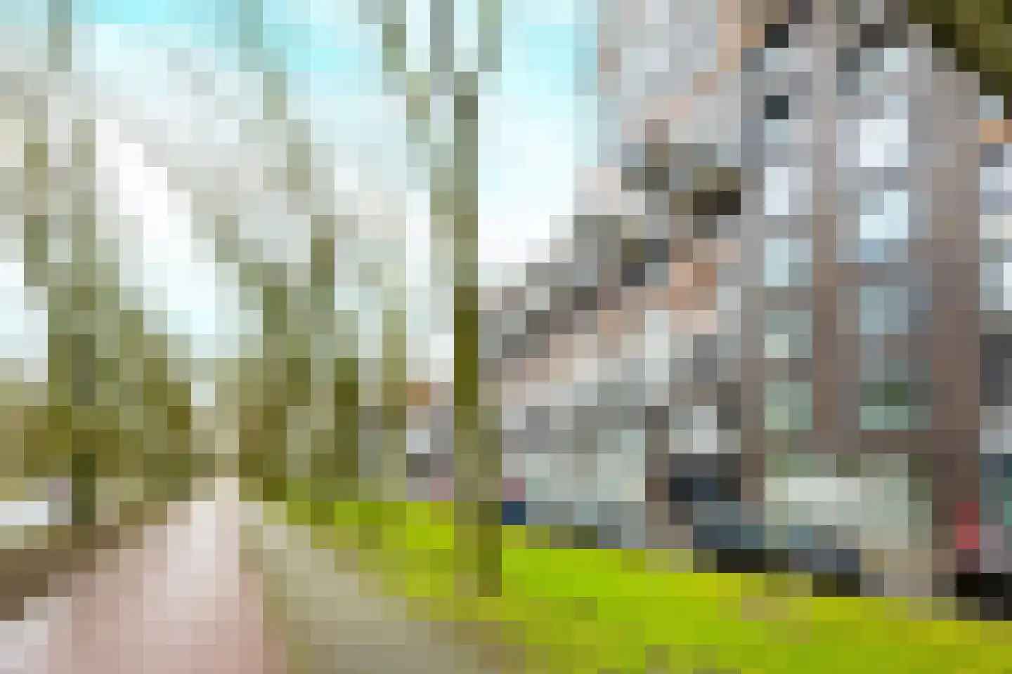 Pretoriadreef 14 Utrecht thumbnail 33