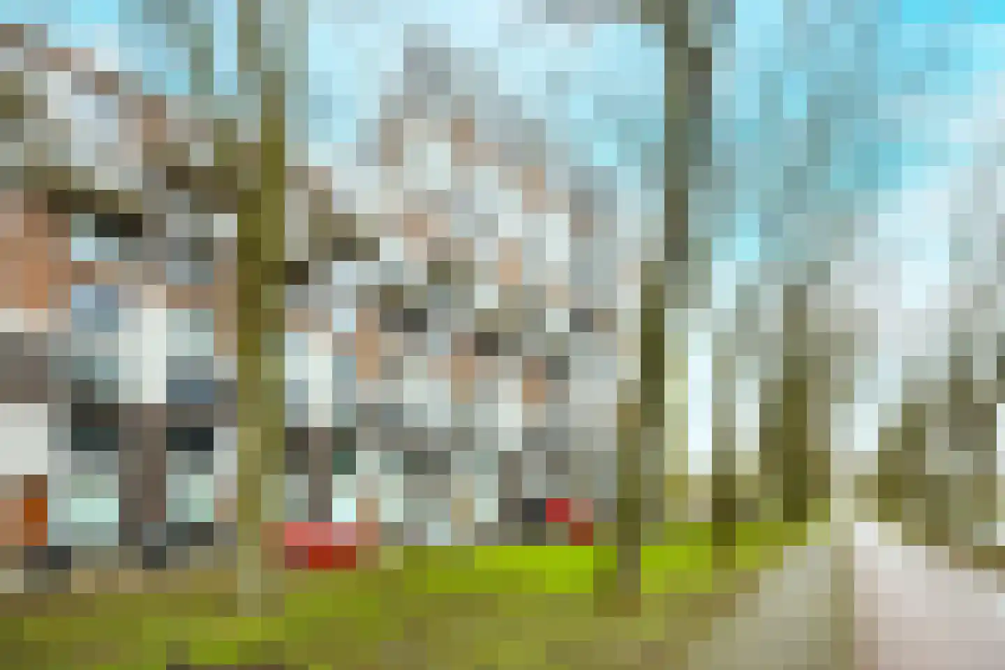 Pretoriadreef 14 Utrecht thumbnail 41