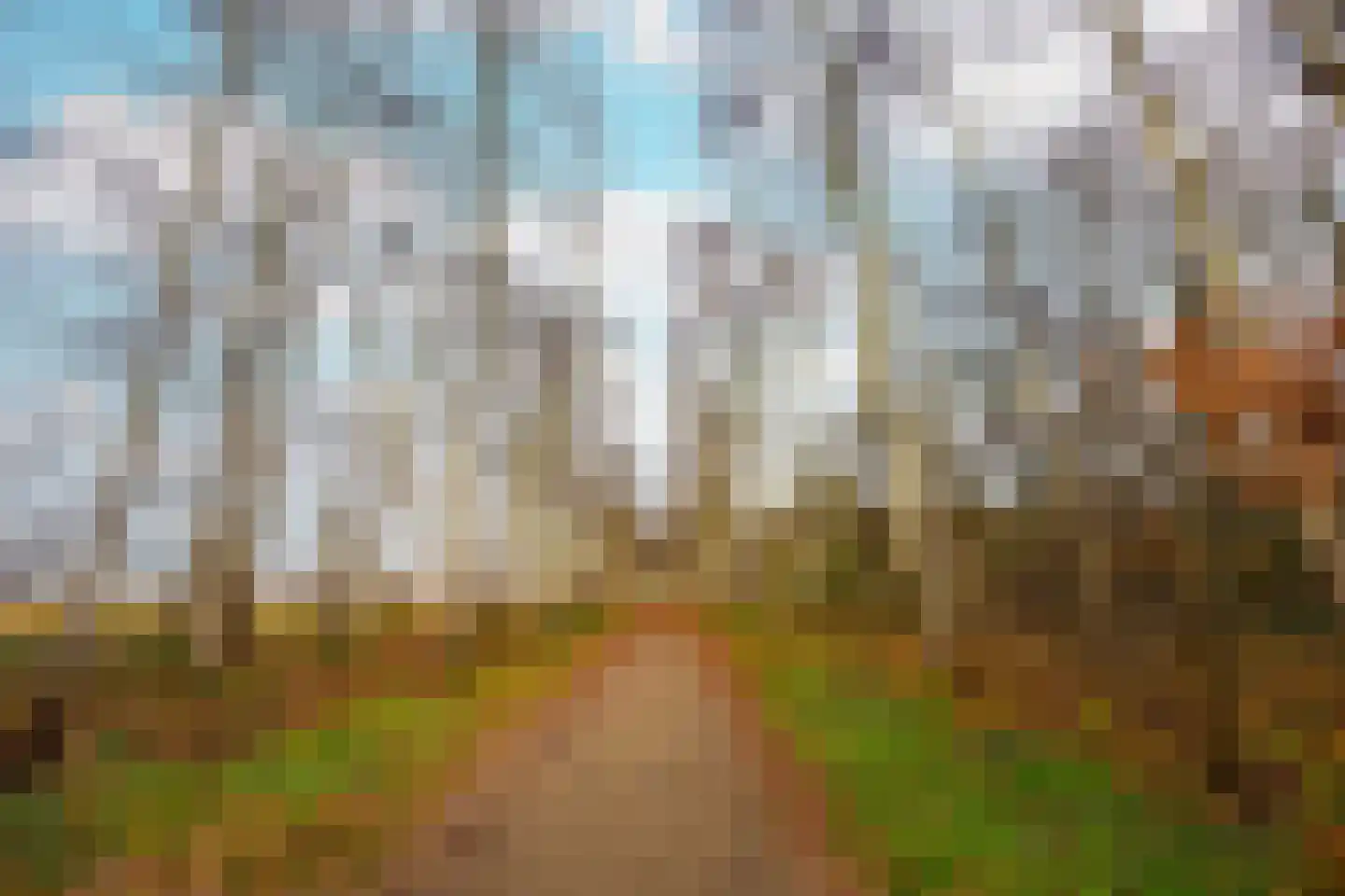 Pretoriadreef 14 Utrecht thumbnail 42