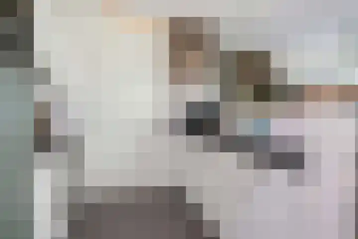 Pretoriadreef 16 Utrecht thumbnail 10