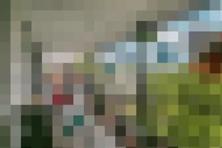 Pretoriadreef 16 Utrecht thumbnail 13
