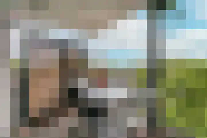 Pretoriadreef 16 Utrecht thumbnail 14