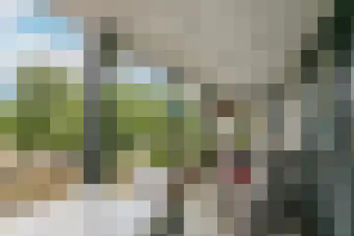 Pretoriadreef 16 Utrecht thumbnail 15
