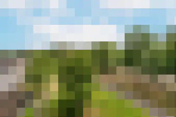Pretoriadreef 16 Utrecht thumbnail 16