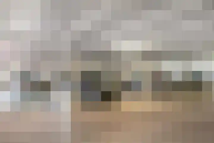Pretoriadreef 16 Utrecht thumbnail 23