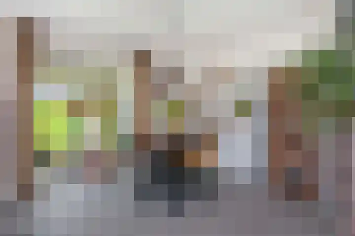 Pretoriadreef 16 Utrecht thumbnail 9
