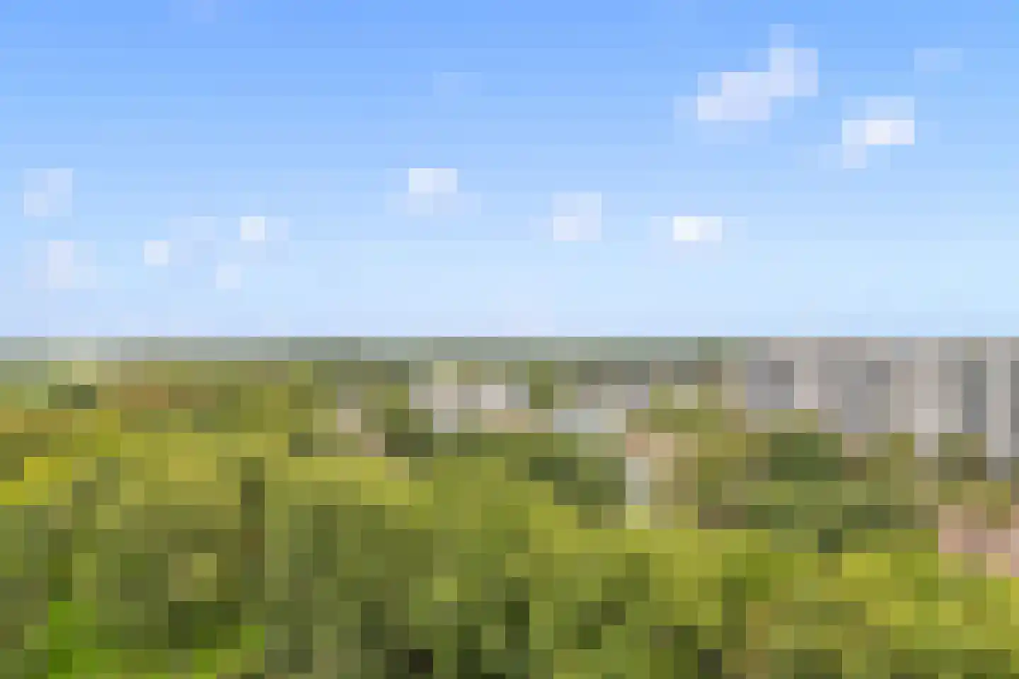 Pretoriadreef 39 Utrecht thumbnail 13