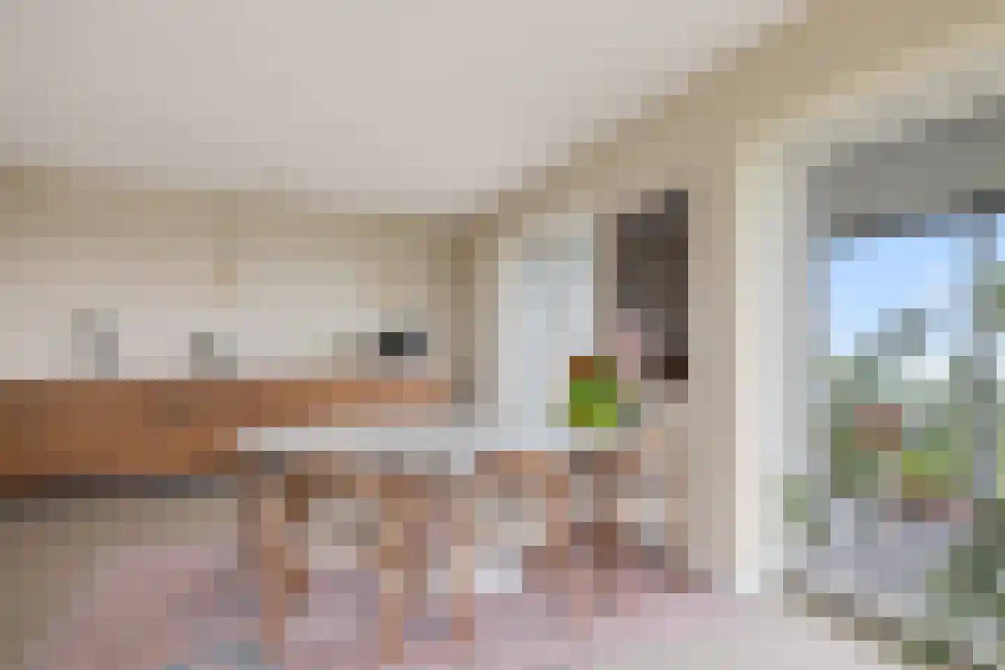 Pretoriadreef 39 Utrecht thumbnail 17